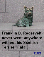 During the presidential campaign of 1944, Fala went with the President to the Aleutians. Republicans circulated a false story that Roosevelt forgot the dog there and sent a navy ship for him, wasting several million taxpayer dollars.